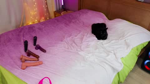 Snapshot of kate_sexhouse chatting on 5, 12, 2024 Kate Sex-House MILA WAYGMT2 MonTue 0300am-1500am online show from 5, 12, 2024