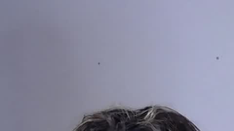 Help me with rate thanks  online show from 2, 2, 2025