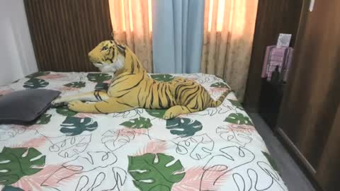 Snapshot of katerinamilf_ chatting on 13, 6, 2026 kata online show from 13, 6, 2026