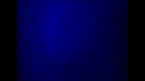 kathy online show from 5, 3, 2025