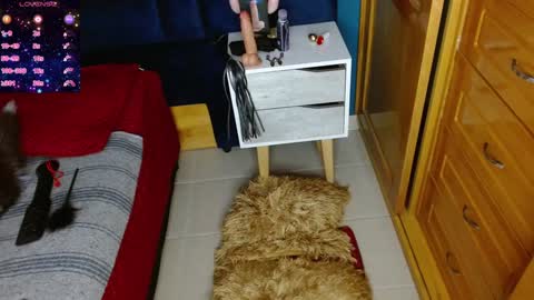 Arianna online show from 2, 12, 2024