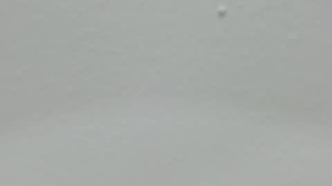 katy blonde girl and paola big boobs online show from 24, 12, 2024