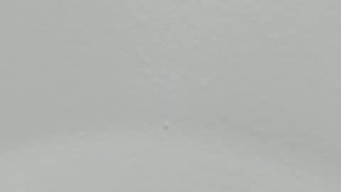 katy blonde girl and paola big boobs online show from 9, 1, 2025