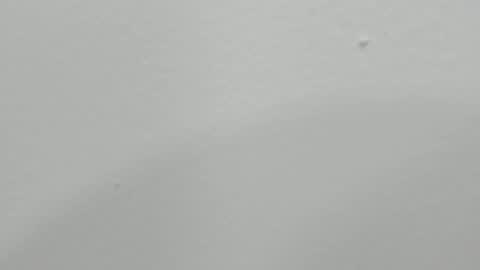 katy blonde girl and paola big boobs online show from 17, 1, 2025