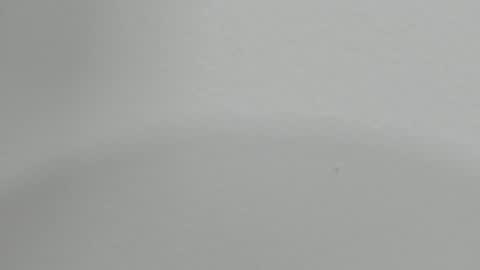 katy blonde girl and paola big boobs online show from 30, 1, 2025