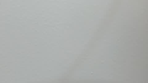 katy blonde girl and paola big boobs online show from 13, 2, 2025