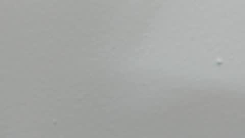 katy blonde girl and paola big boobs online show from 18, 2, 2025