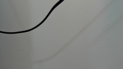 katy blonde girl and paola big boobs online show from 3, 3, 2025