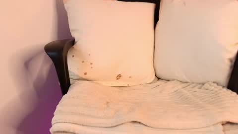 Katy Van online show from 11, 3, 2025