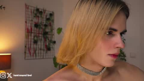 sasha online show from 8, 2, 2025