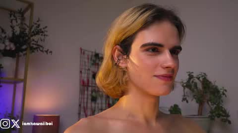 sasha online show from 12, 2, 2025