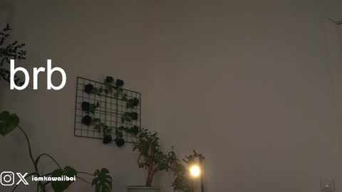 sasha online show from 21, 2, 2025