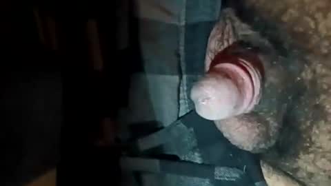 sphkawaiisu online show from 8, 11, 2025