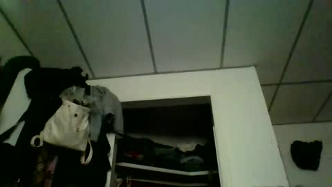 kaylee kakes online show from 9, 3, 2026