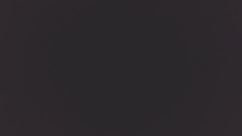 keiser1771 online show from 21, 2, 2026