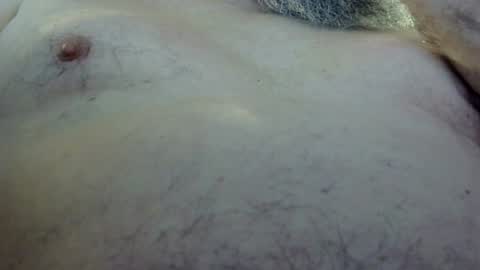kenwoodsquirrel online show from 11, 7, 2026