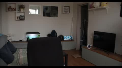 Kev online show from 17, 2, 2025