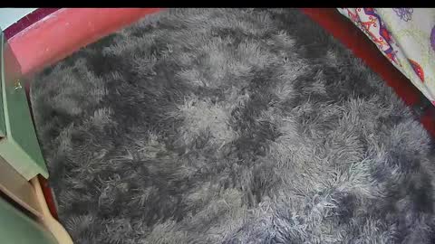 Keyla online show from 25, 2, 2026