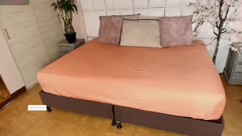    N         M online show from 26, 2, 2025