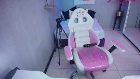 Kitty online show from 6, 7, 2026