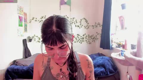 Bella online show from 1, 6, 2026