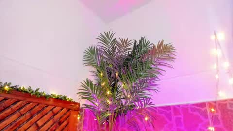 kimberly gonzalez online show from 11, 1, 2025