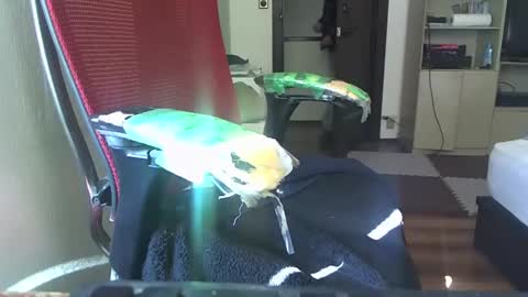 kinchan069 online show from 5, 2, 2025