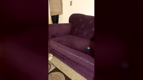 kingecstasyxxxddd online show from 13, 3, 2026