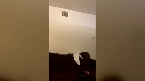 kingecstasyxxxddd online show from 16, 3, 2026