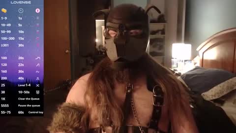 kinkywolf87 online show from 31, 12, 2024