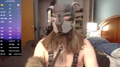 kinkywolf87 online show from 23, 2, 2025