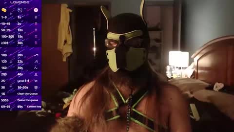 kinkywolf87 online show from 2, 12, 2025