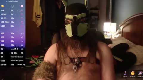 kinkywolf87 online show from 8, 4, 2026