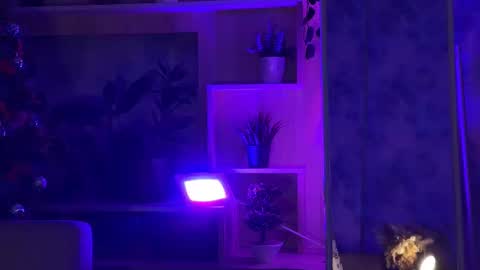 Kira    online show from 16, 2, 2025