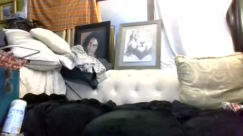 Kishan2525 online show from 7, 3, 2026