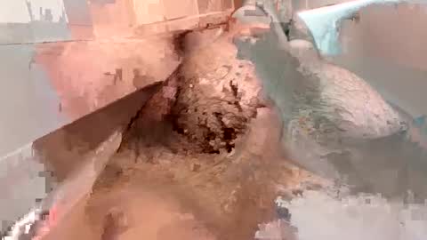 Snapshot of kitkatmac chatting on 3, 1, 2025 kitkatmac online show from 3, 1, 2025