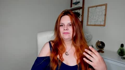 Kitten online show from 2, 7, 2026