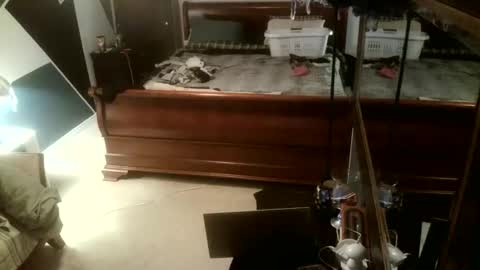 Snapshot of kittenkatch chatting on 8, 2, 2026 KittenKatch online show from 8, 2, 2026