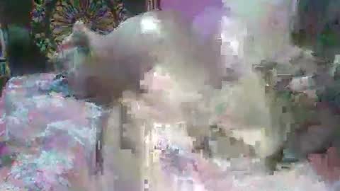 kitty18842 online show from 11, 4, 2026