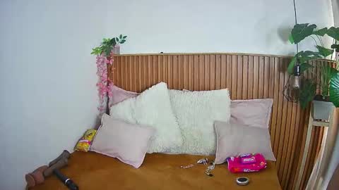 K I T T Y   online show from 4, 2, 2026