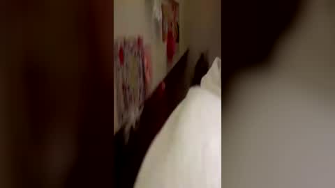 Kitty  Sophie    online show from 24, 6, 2026