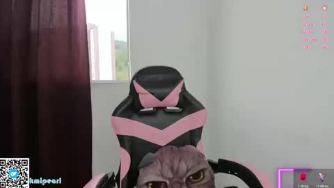 Camila Reyes online show from 10, 1, 2026