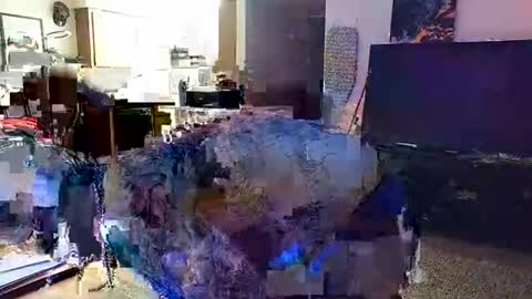 Snapshot of knoxwilder23 chatting on 30, 11, 2025 Knox Wilder online show from 30, 11, 2025