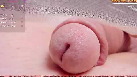 Petra online show from 8, 3, 2025