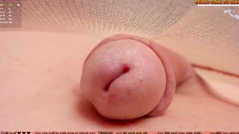 Petra online show from 19, 2, 2026