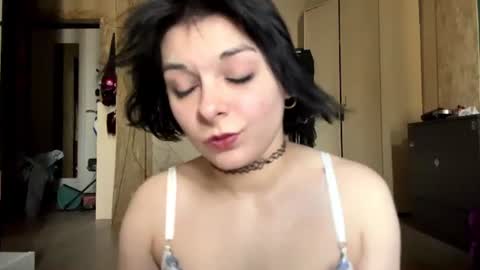 Regina online show from 7, 7, 2026
