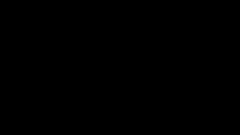 kvicali online show from 19, 12, 2024