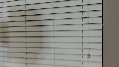 Snapshot of kyliebkillinit chatting on 14, 1, 2026 Kylie online show from 14, 1, 2026