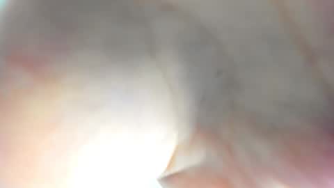 Ameli online show from 15, 11, 2025