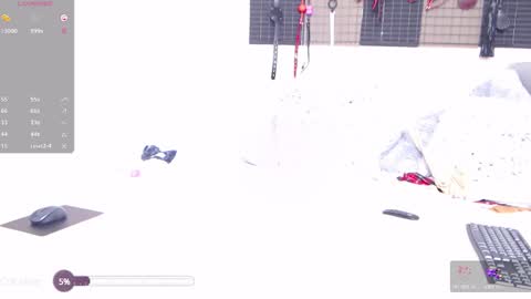 Lily Paw  online show from 2, 12, 2024